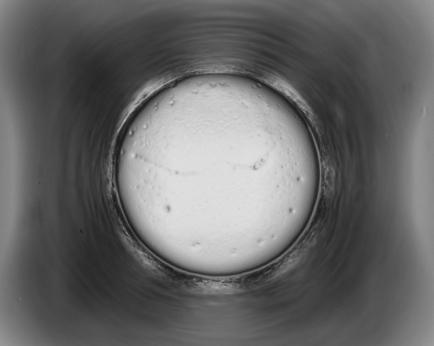 X0000086330994200704202038