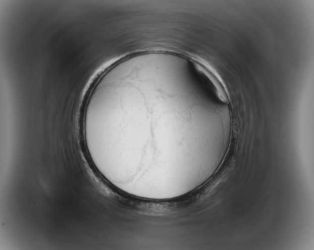 X0000086330995200704202038