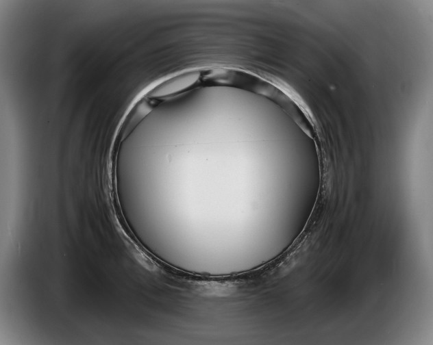 X0000086330996200704202038