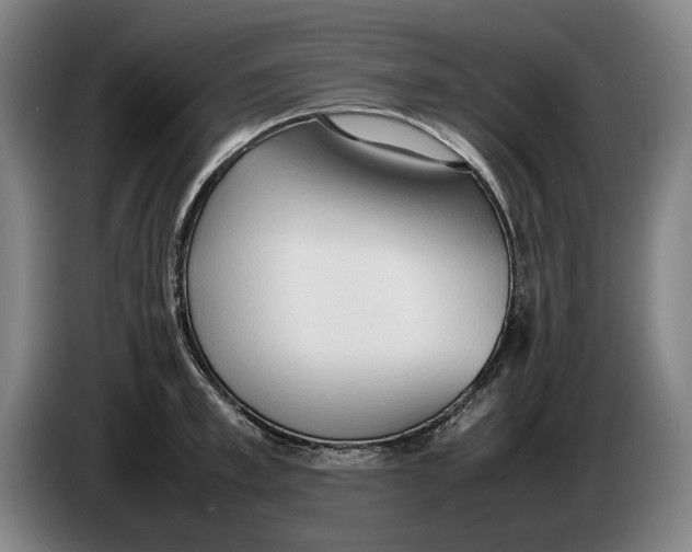 X0000086330997200704202038