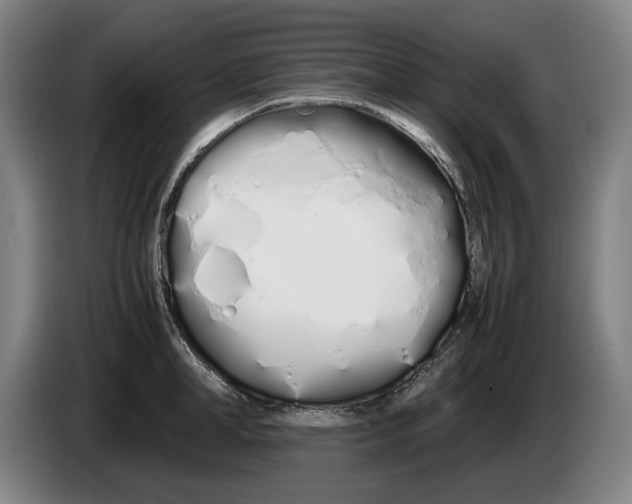 X0000086330998200704202038