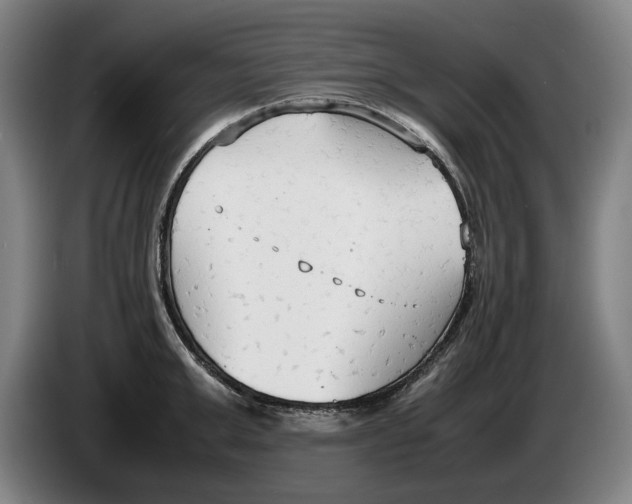 X0000086330999200704202038