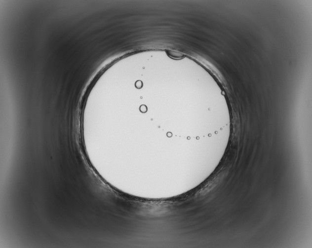 X0000086331000200704202038