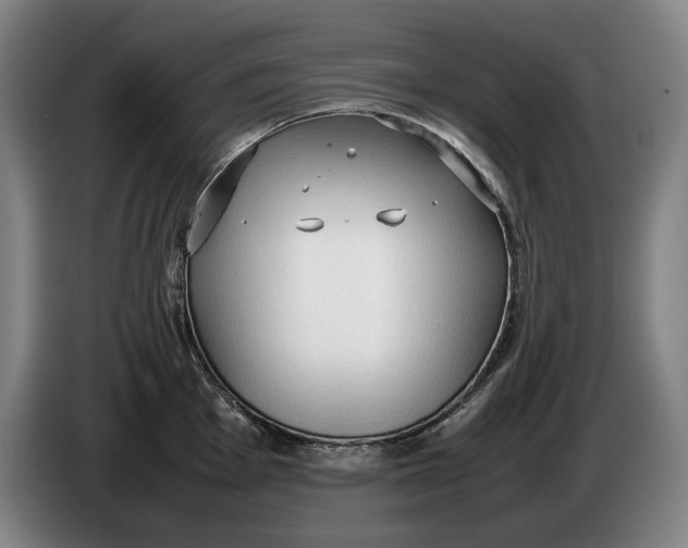 X0000086331001200704202038