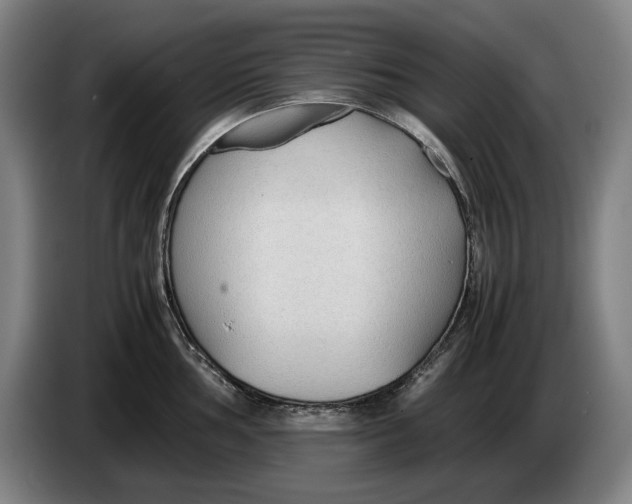 X0000086331002200704202038