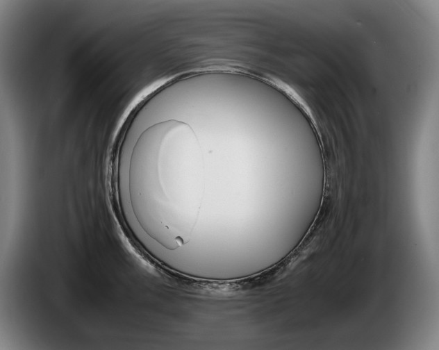 X0000086331003200704202038