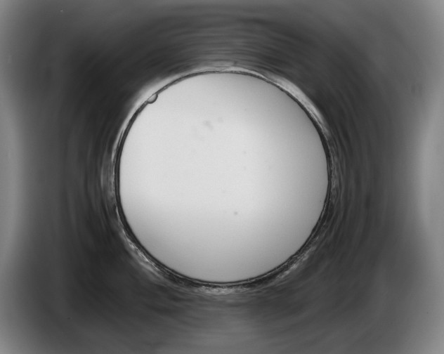 X0000086331004200704202038