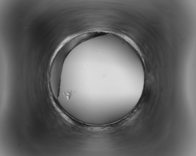 X0000086331005200704202038