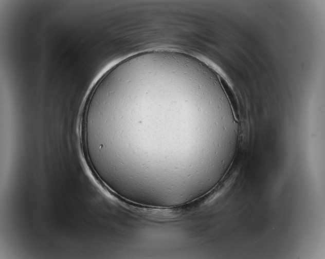 X0000086331007200704202038