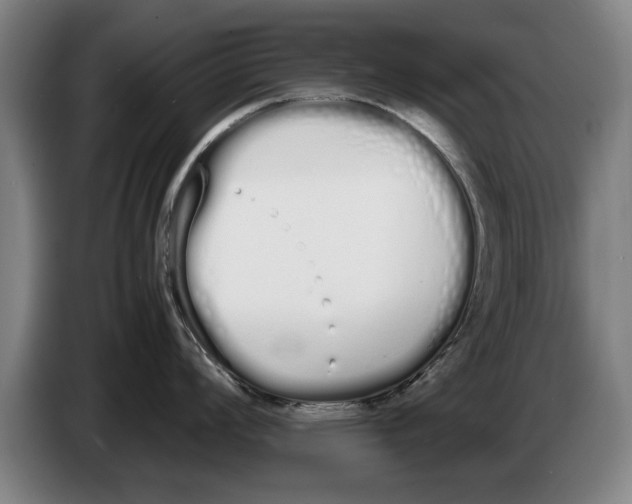 X0000086331008200704202038