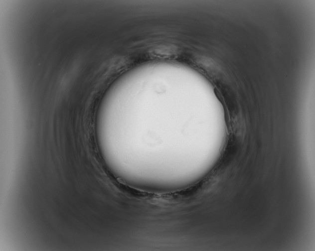 X0000086331009200704202037