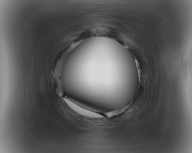 X0000086331010200704202037