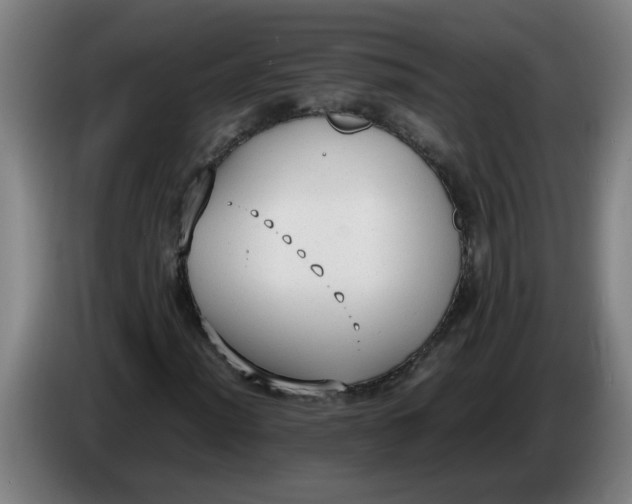 X0000086331012200704202037