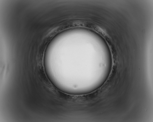 X0000086331015200704202037