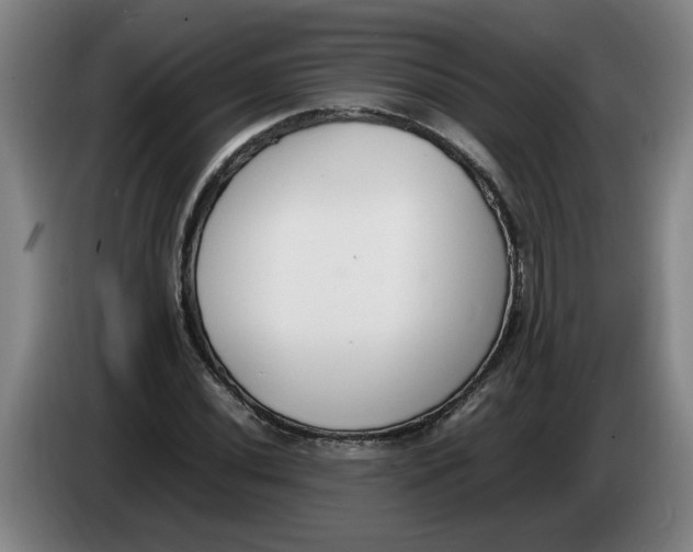 X0000086331020200704202037