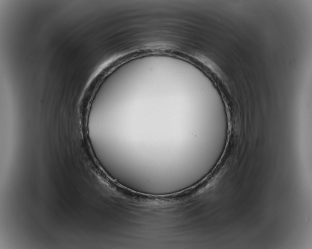 X0000086331022200704202037