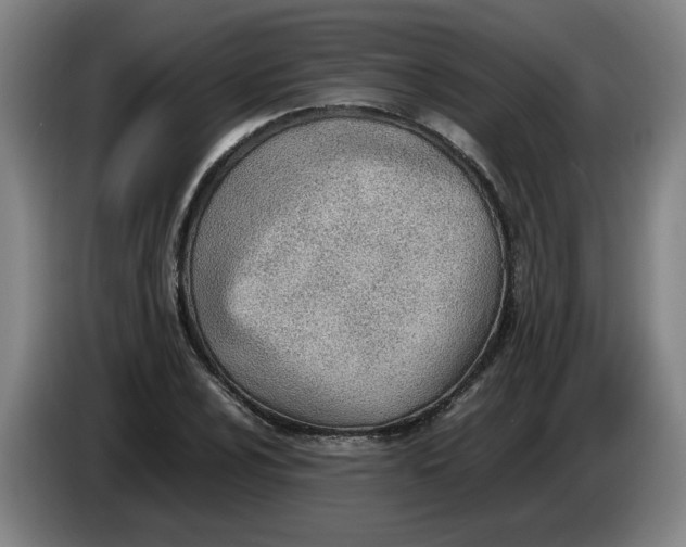 X0000086331024200704202037