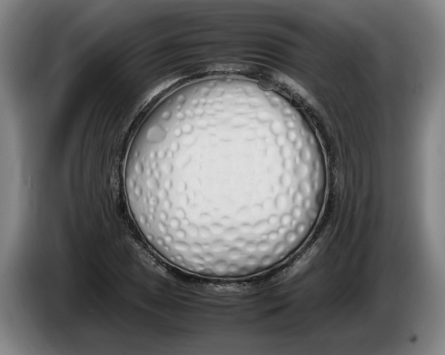 X0000086331025200704202037