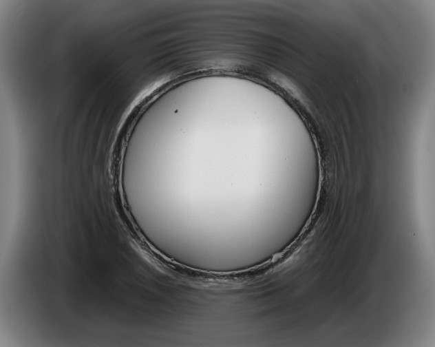 X0000086331026200704202037