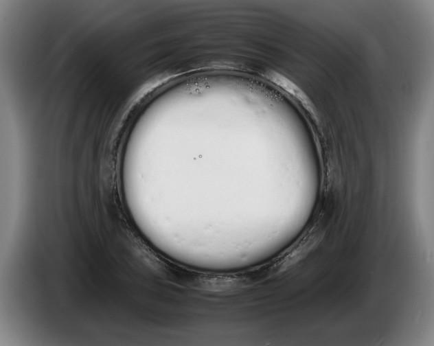 X0000086331027200704202037