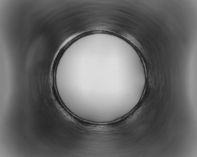 X0000086331028200704202037