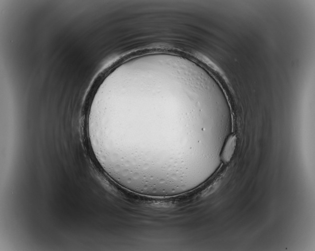 X0000086331029200704202037