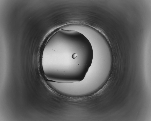 X0000086331030200704202037