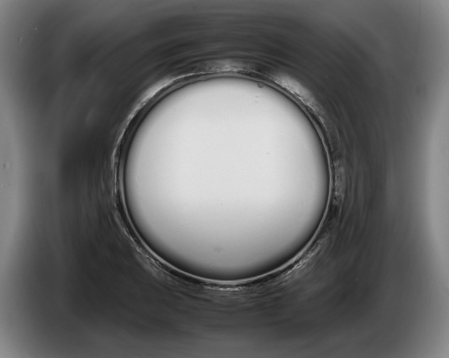 X0000086331031200704202037