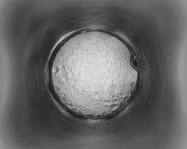 X0000086331032200704202037