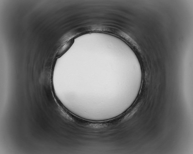 X0000086331033200704202037