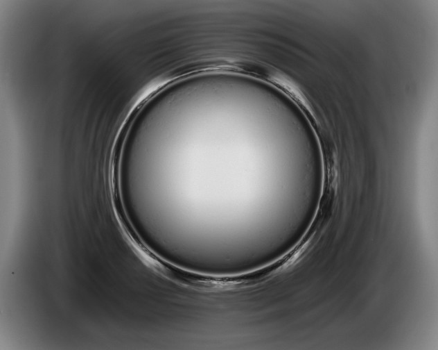 X0000086331034200704202037