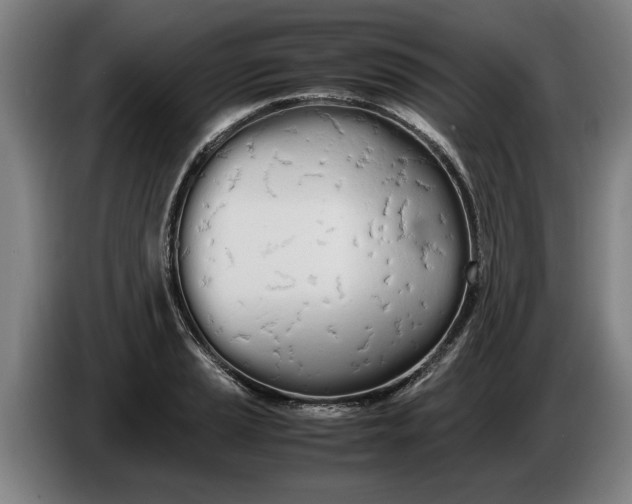 X0000086331037200704202037