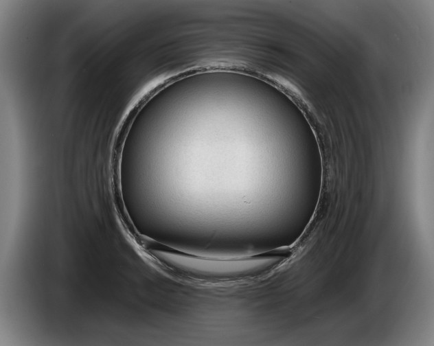 X0000086331038200704202037