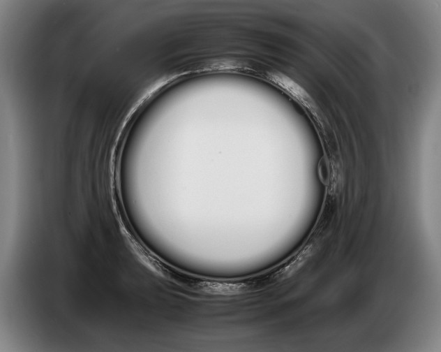 X0000086331039200704202037