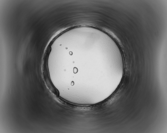 X0000086331040200704202037