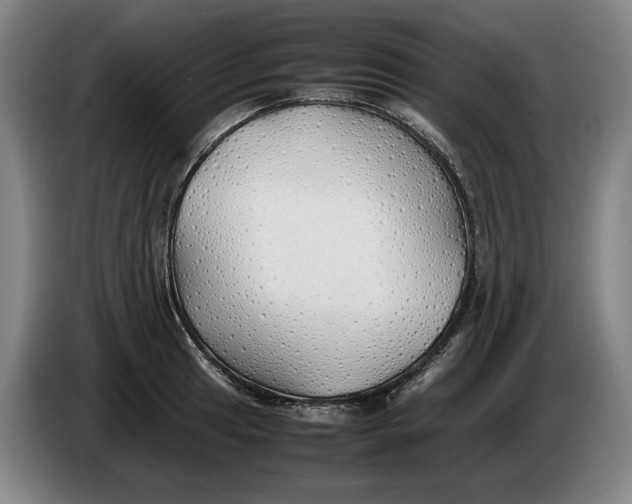 X0000086331041200704202037