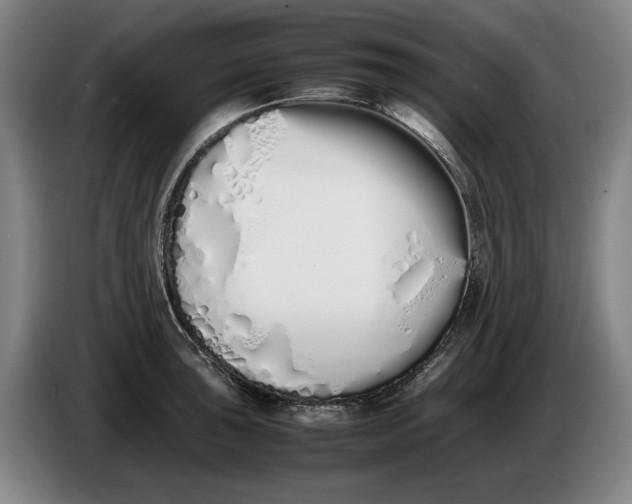 X0000086331043200704202037