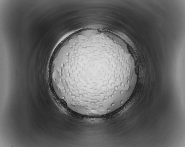 X0000086331044200704202037