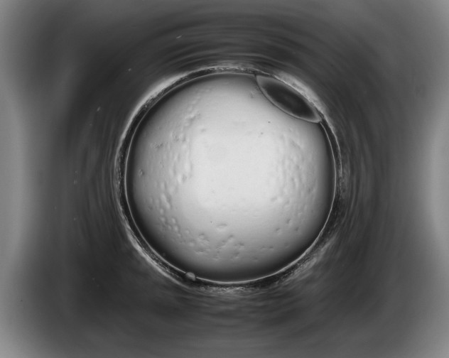 X0000086331045200704202037