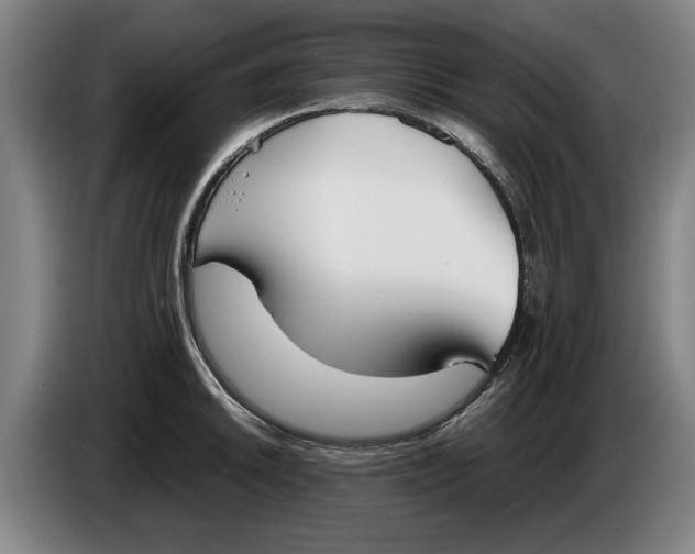 X0000086331046200704202037