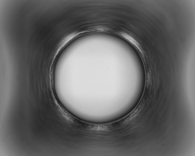 X0000086331047200704202037