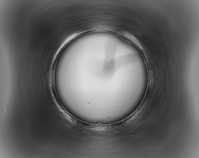 X0000086331048200704202037