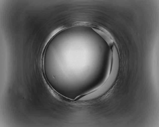 X0000086331050200704202037