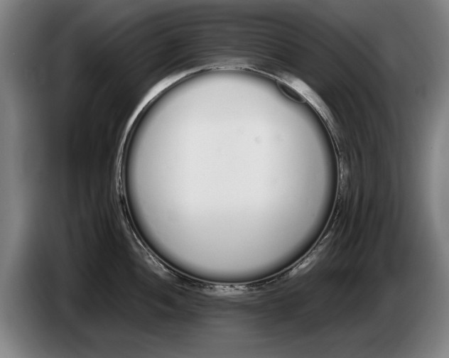 X0000086331052200704202038