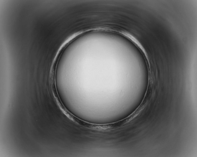 X0000086331053200704202038