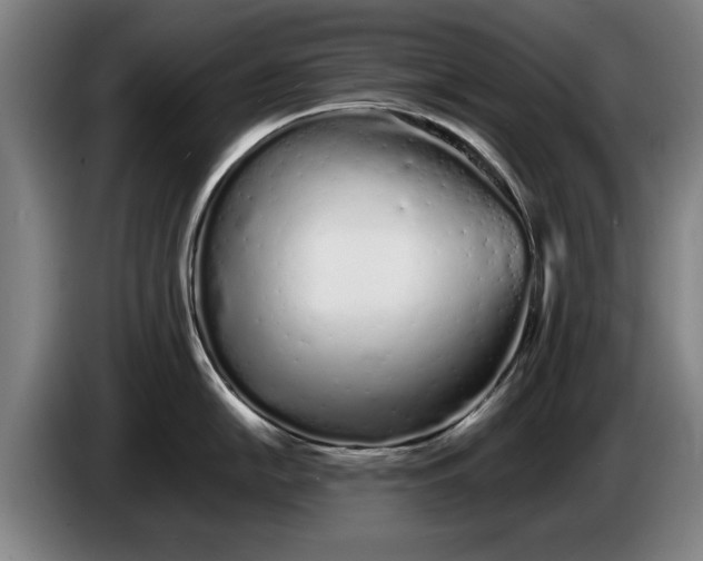 X0000086331054200704202038