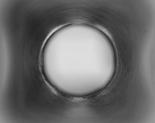 X0000086331056200704202038