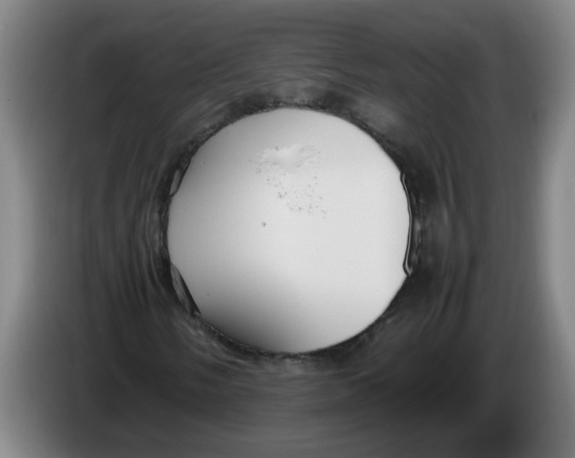 X0000086331058200704202037