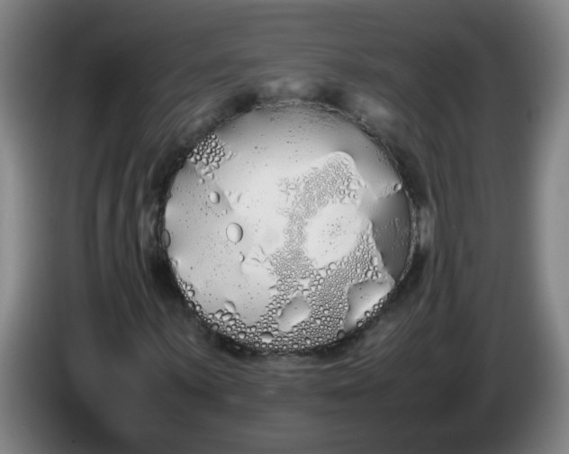 X0000086331059200704202037