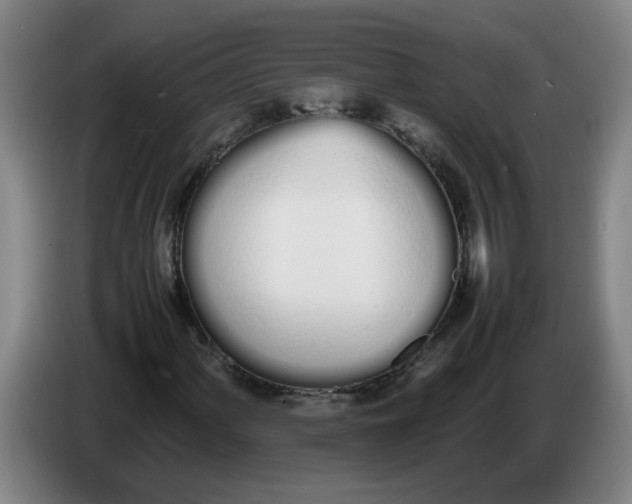 X0000086331060200704202037